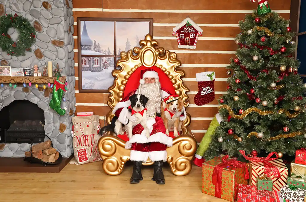 Santa and dogs